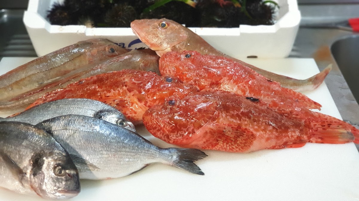 Ristorante Pizzeria Da Mary Photos 2